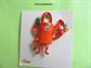 Anthropomorphic Google Eyes Pin RARE Nemo Watering Can Googly Eyes Original Card Mint Shape Figural Gardening Gardener