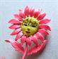  Vintage Anthropomorphic Daisy Pin Signed JJ 