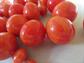 Bakelite Signed Castlecliff Orange Necklace and Earrings Set Over 289 Grams Runway Designer Signed Costume Jewelry