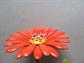 Mod Metal Flower Pin Brooch Google Eyes Orange Yellow Flowers Daisy Costume Jewelry Mod Anthropomorphic Figural