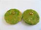 Bakelite Mid Century Earrings Avocado Spinach Large Scalloped Pierced Vintage Costume Jewelry