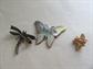 Butterfly Pin Dragonfly Bee Costume Jewelry Bugs Insects Figural