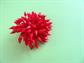 Mod 1960's Red Firework Pin Vintage Costume Jewelry '60's Accessories Anemone 4th of July