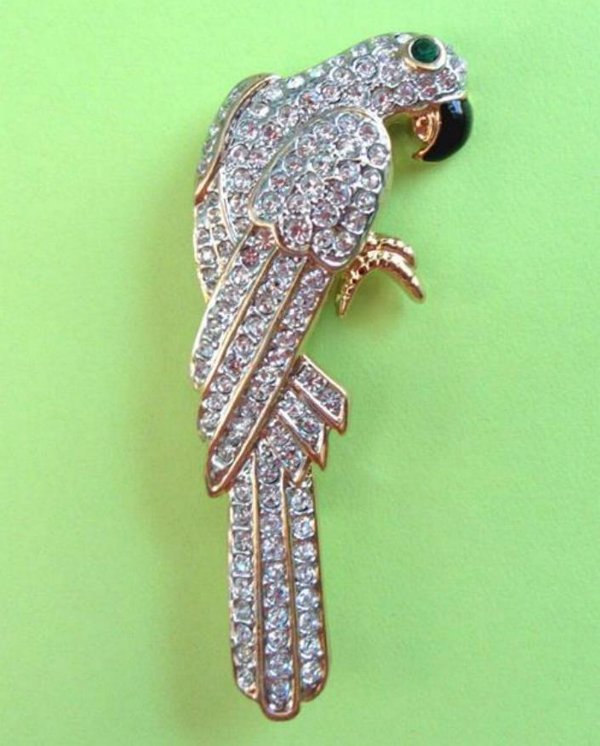 Rhinestone Parrot Pin Never Worn