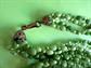 Mod 1960's Long Necklace Avocado Green Vintage Costume Jewelry '60's Accessories