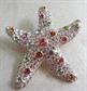 Rhinestone Starfish Pin Vintage Jewelry