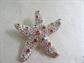 Pastel Rhinestone Starfish Pin Brooch Costume Jewelry Nautical Beach Tropical