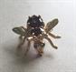 10k Gold Amethyst and Emerald Bee Pin Fine Jewelry Save Our Bees 3.3 Grams