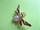 Rhinestone Bee Pin Bug Brooch Insect Vintage Costume Jewelry Figural Save our Bees