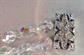 1950's Crystal Rhinestone Bracelet Aurora Borealis Costume Jewelry