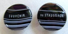 Victorian Scottish Agate Button Stud Pair Souvenir Du Staubbach Sweden