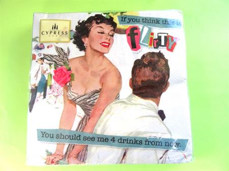 1950's Retro Style Flirty 60 Count Paper Napkins Cypress Hill Party Supplies Cocktails Bar Vintage House