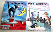 Vintage Tony Roy Cats French Postcards ONE DOZEN 