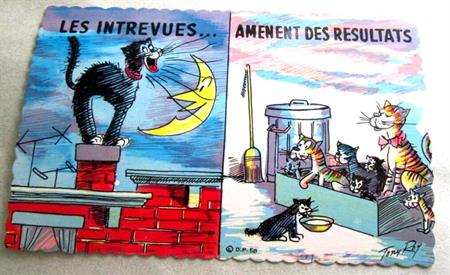 Vintage Tony Roy Cats French Postcards ONE DOZEN 