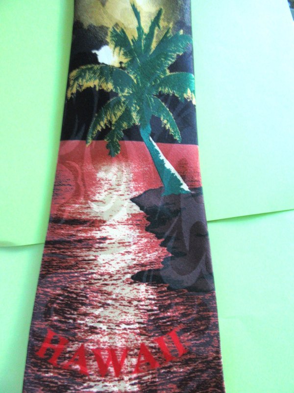 Hawaiian Sunset Palm Tree Tie Never Worn 