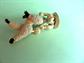 Anthropomorphic Poodle Cowboy JJ Pin Signed Costume Jewelry Country Western Figural