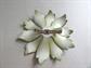 1960's Avocado Flower Pin Vintage Costume Jewelry Mod Enameled Fall Colors