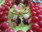 Vintage Costume Jewelry Lot  Pink Raspberry Necklace Orchid  Earrings Pins