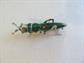 1940's Unsigned Coro ? Grasshopper Pin Vintage Costume Jewelry Figural Bug