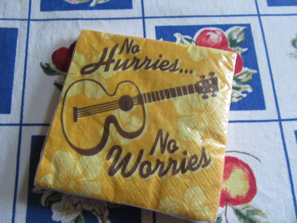 Hallmark Ukulele Cocktail Napkins 3 Pkgs  Bar Supplies 