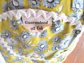 1940's Vintage Daisies Cotton Apron Never Worn