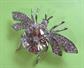 Brilliant Rhinestone Bug Pin  Bee