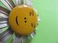 Anthropomorphic Smiling Daisy Pin FiguralVintage  Costume Jewelry Hippie