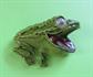 ART Signed Google Eyes Anthropomorphic Frog Pin Arthur Pepper Toad Googly Vintage Costume Jewelry