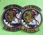 Vintage Air Force Wild Weasel 39 TFTS Snake Viper Embroidered Patches Military Memorabilia 