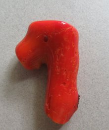Genuine Coral  Pendant Jewelry Making Pieces Supplies