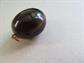 Victorian Kukui Nut Fob or Pendant Antique Jewelry 