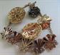 Vintage Rhinestone Pin Lot and Bonus Non Vintage Necklace Costume Jewelry