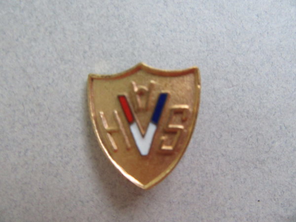 Vintage Victory Shield Pin HVS? Military? Fraternal? Collectibles