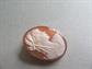 Vintage Carved Shell Cameo Pin With Bail Silver ? 