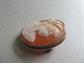 Vintage Carved Shell Cameo Pin With Bail Silver ? 