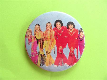 1990's Brady Bunch Pinback Button TV Nostalgia Retro Party