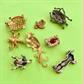 Vintage and Newer Figural Pin Lot Turtles Bugs Bird Penguin Dog  Costume Jewelry