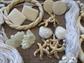 Vintage Costume Jewelry Lot Mother of Pearl Necklace Earrings Bracelet Beach Cruise Wear Destash