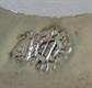 Vintage Taxco Sterling Silver Abalone Hoop Earrings Pierced Costume Jewelry