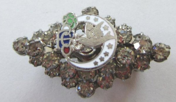 Vintage Fraternal Order of Eagles FOE Pin 