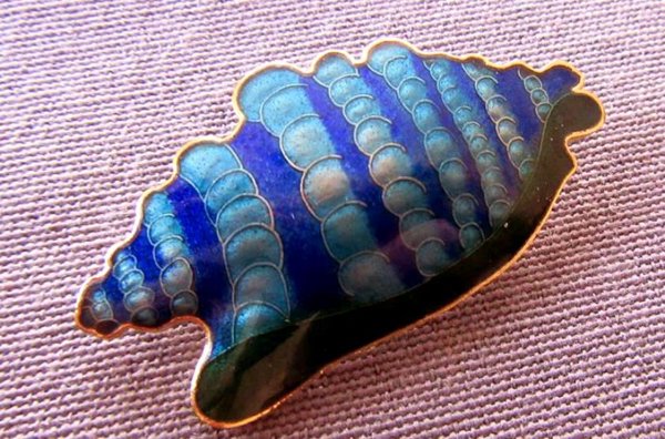 Vintage Cloisonné Sea Shell Pin 
