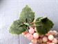 Vintage Genuine Jade Pink Grapes Bunch Onyx ? Rose quartz ? Stone Home Decor Wine Lover Cottagecore