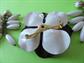 Mod 1960's Black and White Flower Pin and Dangle Cluster Clip On Earrings Vintage Costume Jewelry '60's Accessories