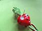 Anthropomorphic Radish Google Eyes Pin Googley Google Veggie Brooch Vintage Costume Jewelry