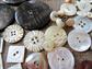 Vintage and Antique Mother of Pearl Buttons Lot Victorian to 1950's Sewing Supplies Buttons Repurpose Upcycle