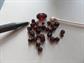 Vintage Cherry Amber? and Garnet? Loose Beads Destash Repurpose Jewelry Making