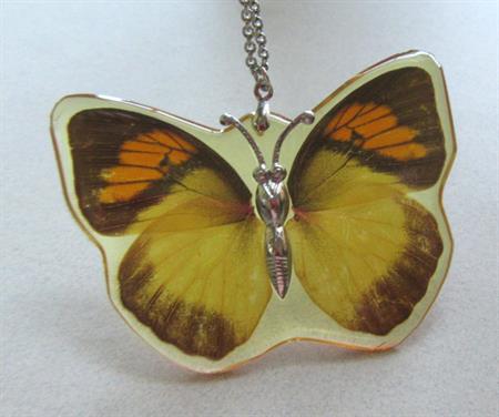 Real Butterfly Chain Necklace Incased in Lucite Never Worn