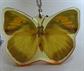 Real Butterfly Chain Necklace Incased in Lucite Never Worn