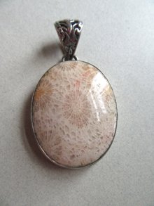 Fossil Coral Pendant