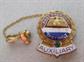 Vintage Past President Amvets Auxiliary Pin Gold Filled
